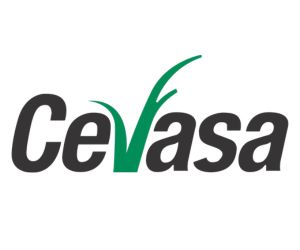 Cevasa