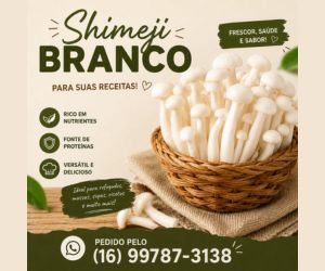 Shimeji Novo